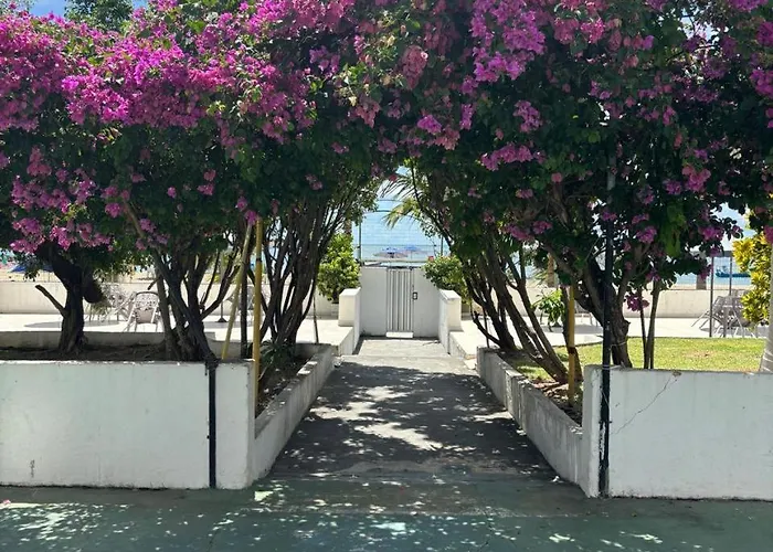Apto 3 Quartos Pe Na Areia Prox De Recife